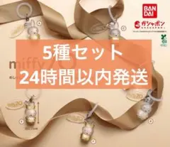 めじるしアクセサリー miffy 70th anniversary 5種セット