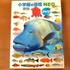小学館の図鑑NEO 新版 魚 DVDつきのサムネイル