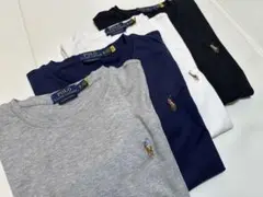 POLO RALPH LAUREN Tシャツ 4枚セット