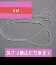 Item thumbnail for item 83869ae4-19fd-4ec0-af67-2f281cadadc5