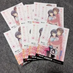 青春ブタ野郎シリーズ 宣伝用カード 6枚セット