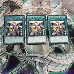 遊戯王　巨竜の羽ばたき　3枚