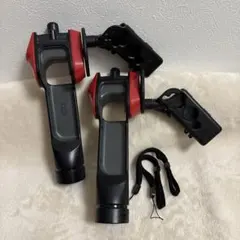 Switch 釣りスピリッツ　ジョイコン　サオコン
