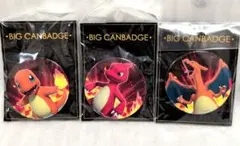 포켓몬 BIG缶バッジ 파이리 リザード 리자몽 3종 세트