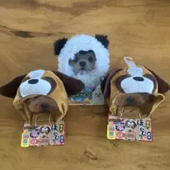 Item thumbnail for item 0c6f7c15-0d51-4be6-93a4-a3c8ec1fe964