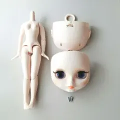 新品アイシードール可動ボディ✰フェイスパーツ✰アイギミック