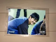 ☆大谷翔平☆北海道日本ハムファイターズ 公式写真 2枚セット - メルカリ