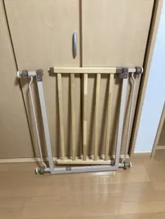 Item thumbnail for item 4436209f-9342-4686-bc49-6442a4a9b94d