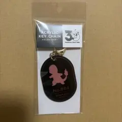 箔押しアクリルキーホルダー　ヒトカゲ　シルエット　ポケモン