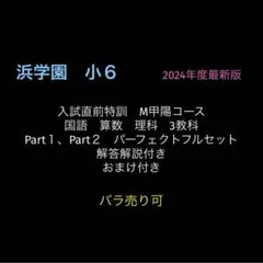 浜学園　小6　2025年度　第1〜3回　灘中オープン模試　国語算数理科　完全版 浜学園 小6 2025年度 第1〜3回 灘中オープン模試 国語算数理科 完全版