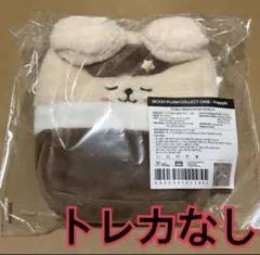 straykids ペンミ スンミン パピーム　コレクトケース スキズ