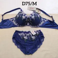 D75　ブルー　トリンプ　天使のブラ　魔法のハリ感　チューリップモチーフ