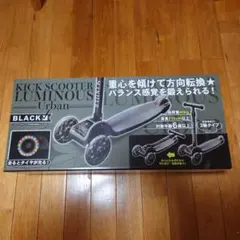 Item thumbnail for item 529dc2b8-4a17-49d6-869b-01a640a94080