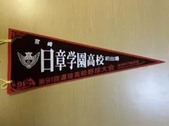 第91回選抜高校野球大会 日章学園高校 記念ペナント