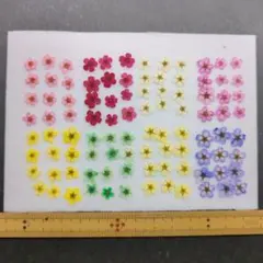 Emma様 リクエスト 2点 まとめ商品