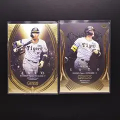 2025年最新】佐藤輝明 bbmの人気アイテム - メルカリ