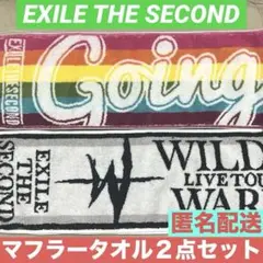 EXILE THE SECOND WILD LIVE TOUR タオル
