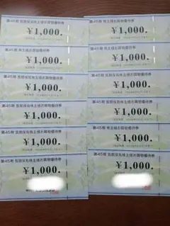 ビックカメラ株主優待券 12000円分