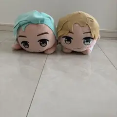 【BTS】Tiny Tan K-POPぬいぐるみ2個セット
