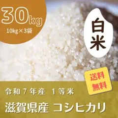 農家直送！令和7年度滋賀県産コシヒカリ玄米30kg 送料無料（一部地域
