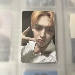 エスクプス トレカ spill the feels