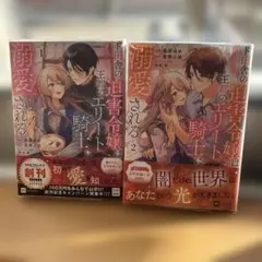 官能小説2冊 ぷちぱら文庫 - メルカリ