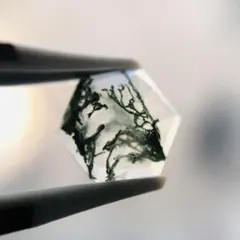 モスアゲート ヘキサゴンローズカット 2.6ct