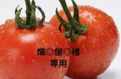 熾◎億◎様リクエスト専用　ガチャ詰めポーチ　カラビナ黒色