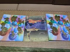 ポケモンカード 伝説の疾走 カードバインダー - メルカリ