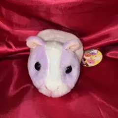 あるまど　モルモットの仲間たち　ぬいぐるみ　パープル　モルモット　No.2