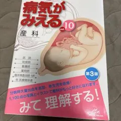 病気がみえる vol.10 (産科)
