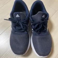 Item thumbnail for item 00649276-8b16-447b-a956-fb04d7b7a0a0