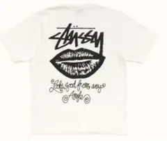 Stussy 半袖 Tシャツ トップス Lサイズのサムネイル
