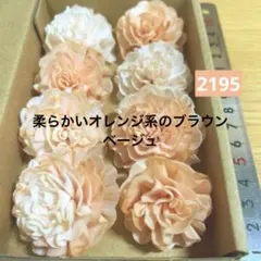 ソラフラワー　2195