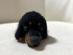 羊毛フェルト 犬 ミニチュアダックスフンド