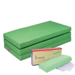 ヘルスウェーブ　すややか枕 すややか D.C.Version2 - カイロプラクティックのリーディング