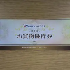 ヤマダ電機　 お買物優待券 6枚　株主優待券3,000円分