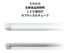 Item thumbnail for item ec53736d-2955-46c0-be40-5d40e6f524a5