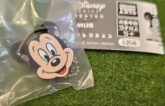 ディズニーバッグコレクション
