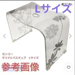 フィルロ シュシュ バスチェア ウォッシュボール ブルー シンデレラ 2
