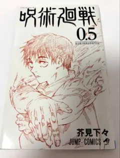 ☀️ 初版 完結帯付き良品 呪術廻戦 全巻 + 0.5巻 + オマケ ☀️ 初版帯付き】呪術廻戦 全巻 初版 初版帯付き 小説 0.5巻 即日