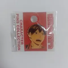 【未開封】ジャンプショップ　限定　スパンダム　ピンズ 未開封】ジャンプショップ 限定 スパンダム ピンズ 新着アイテム