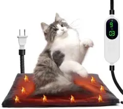 Item thumbnail for item 22a48817-f9a2-408a-906e-554c8b13f649