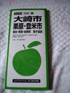 都市地図 宮城県4 大崎市 栗原・登米市