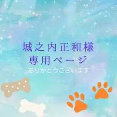 城之内正和様 リクエスト 4点 まとめ商品