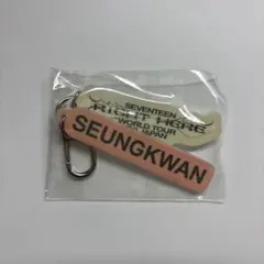 SEVENTEENスングァン RIGHT HERE カプセルトイガチャ アクキー