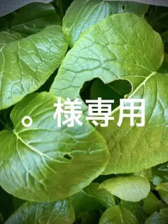 。様専用