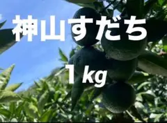 露地スダチ(二級品) 正味10kg超 - メルカリ