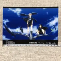 ★ハイキュー ジャンプショップブロマイド　影山　日向
