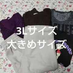 大きめ3Lサイズまとめ レオパード柄カーディガンとニットセット